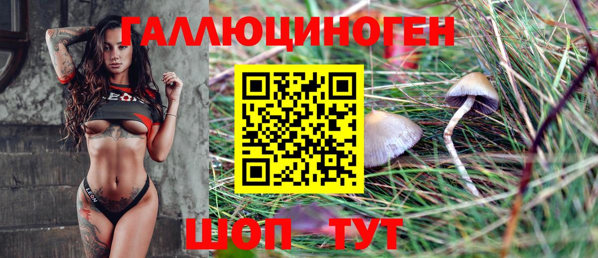 Псилоцибиновые грибы мухоморы  Вход с VPN  Чайковский 